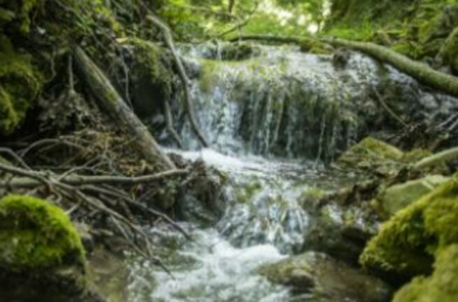 Alessandro Amici cade nel fiume e muore a 44 anni