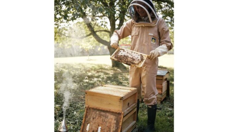 Kate Middleton regina di api. La sua passione