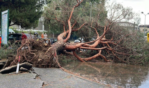 Lissone: donna 58enne morta colpita da un albero caduto per il maltempo