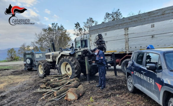 San Lupo: morto agricoltore in incidente con il trattore