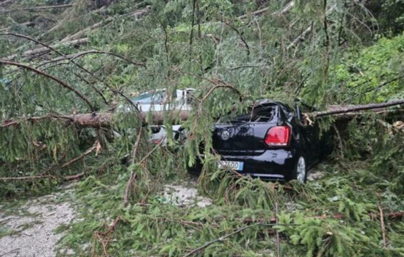 Cadore: tromba d’aria spazza via pezzi di bosco
