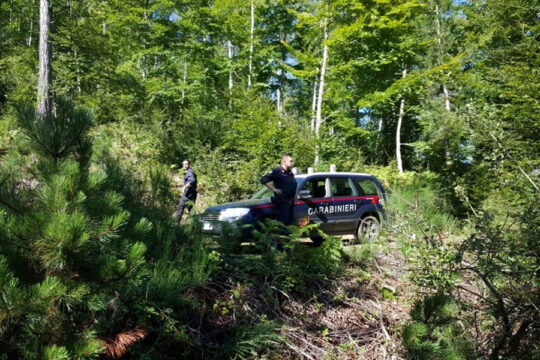 Valtellina: morto un altro cercatore di funghi