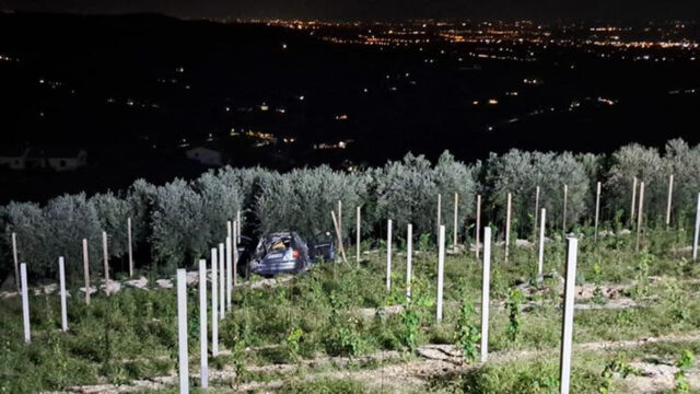 Mezzane di Sotto, 63enne morto con l’auto nel vigneto