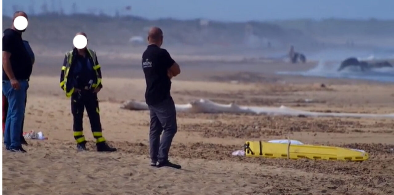 Oristano, corpo di donna brasiliana trovato in spiaggia