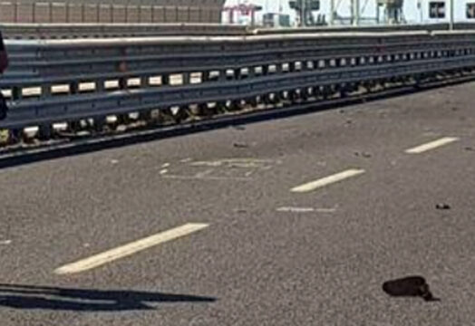 Taranto, Giuseppe Cazzato, 39 anni, morto nello scontro fra auto e 2 moto