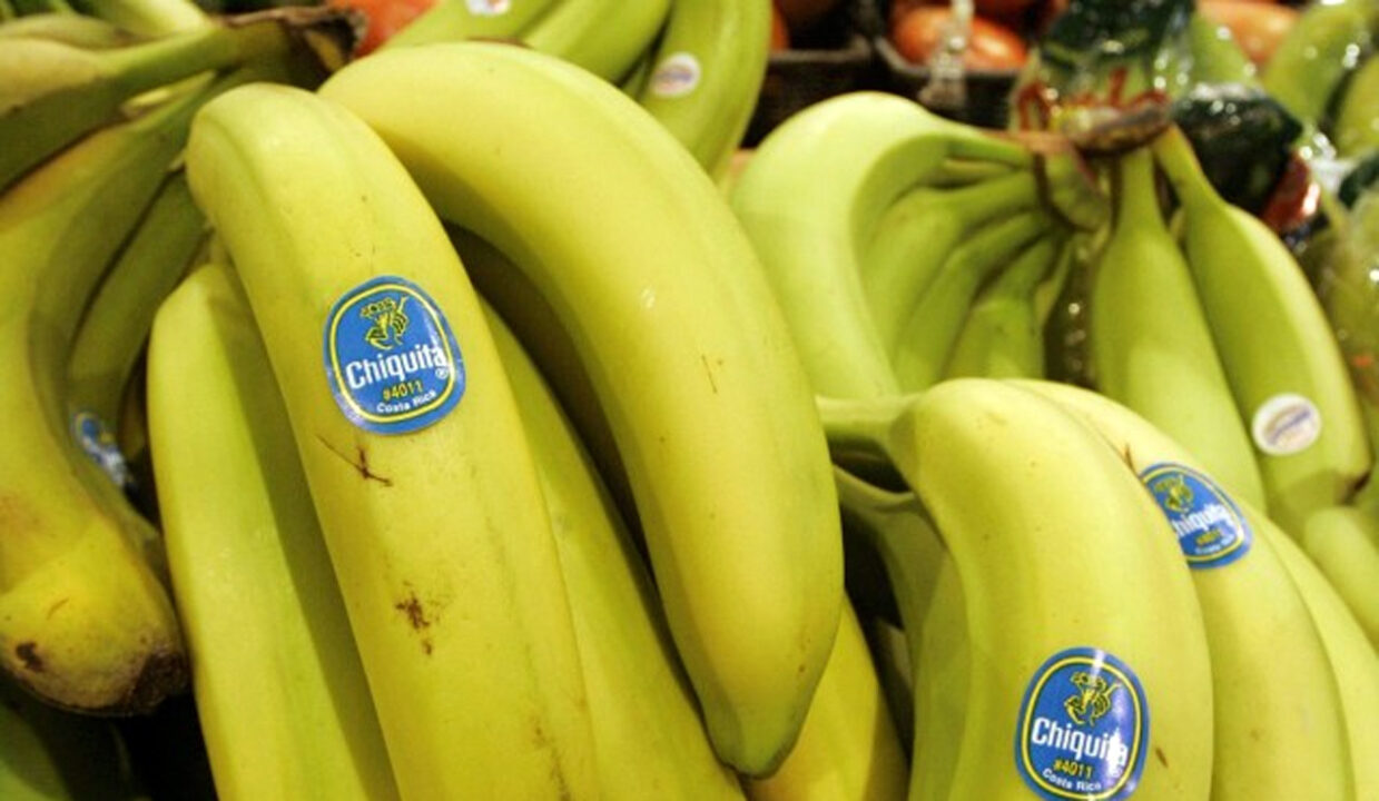 Chiquita e il golpe delle banane del 1954