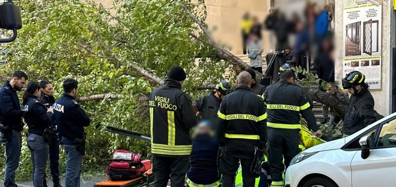 Roma: donna uccisa dalla caduta di un albero a Monteverde