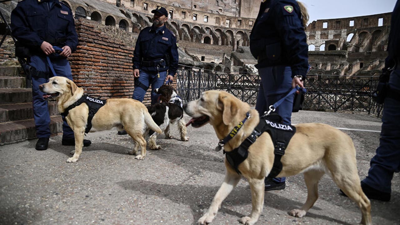Via Crucis di Papa Francesco: le misure di sicurezza