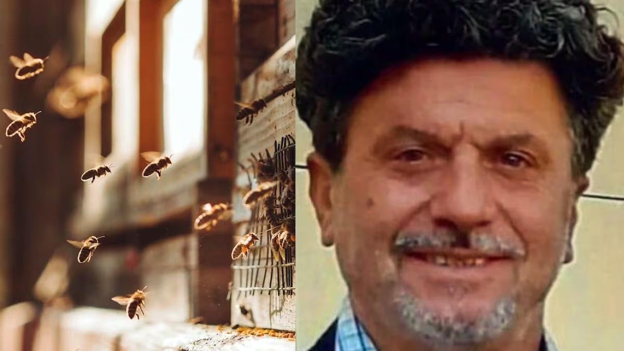 Correggio: Luigi Santi, 56 anni, muore per una puntura di ape