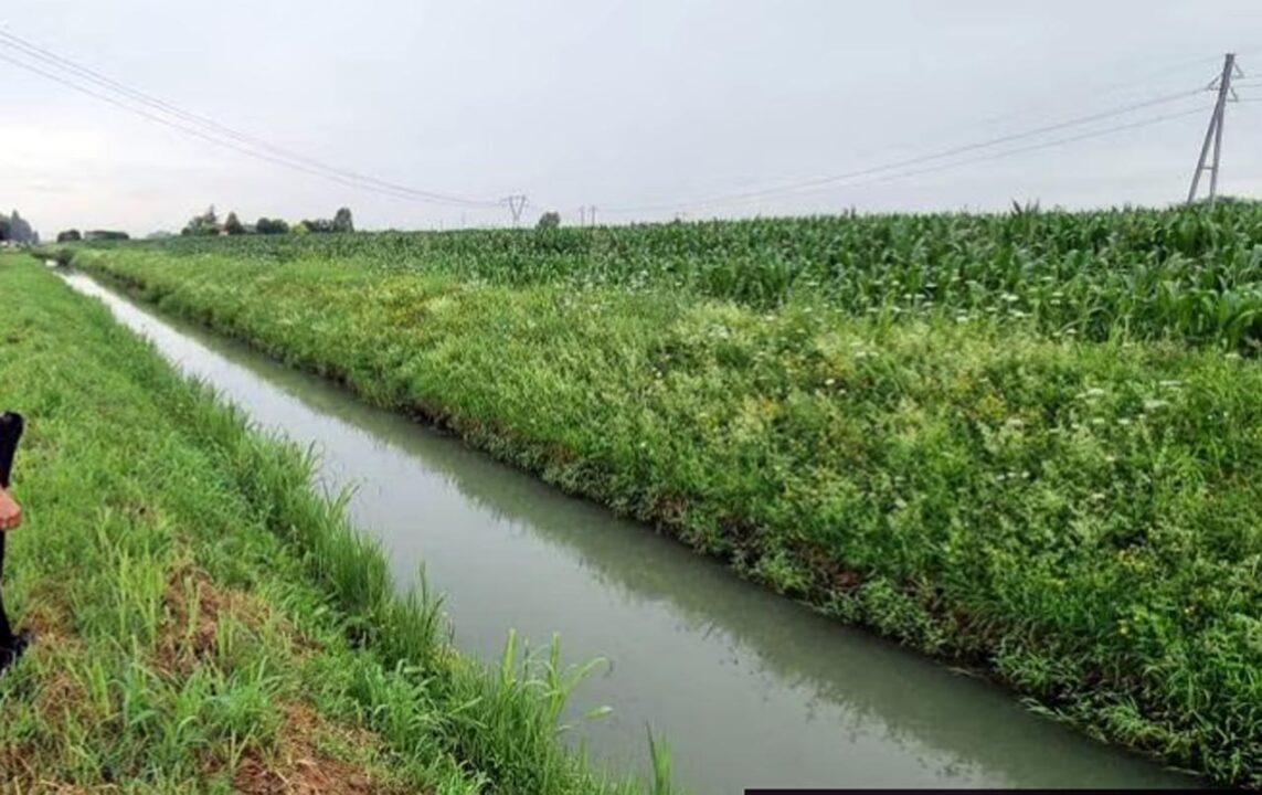 Bimba di 3 anni muore cadendo in un canale