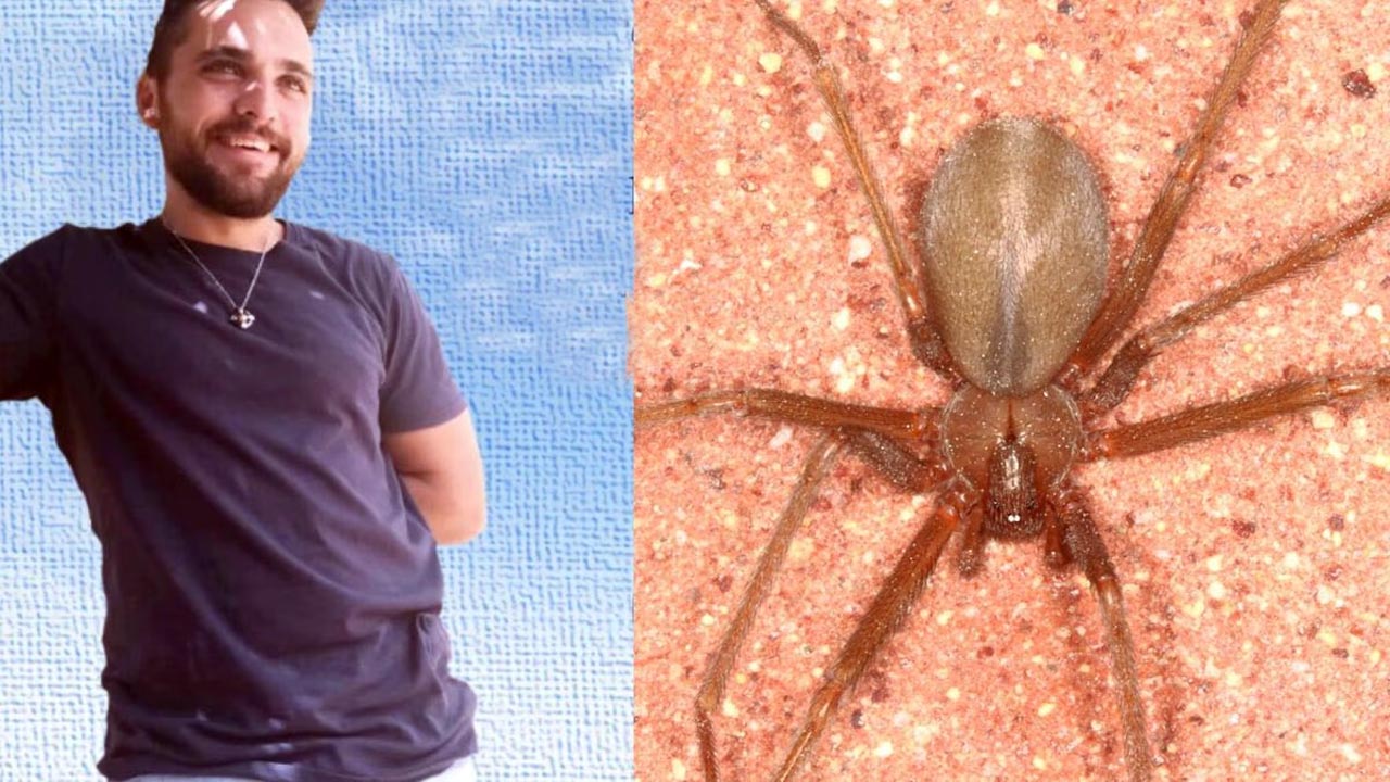 Giuseppe Russo, 23 anni, muore morso dal ragno violino