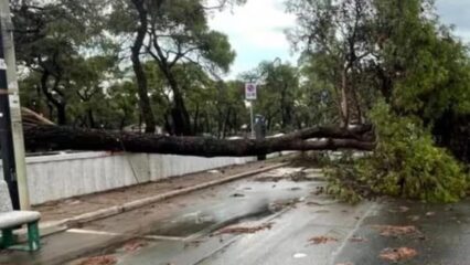 Bomba d’acqua nel Tarantino: alberi caduti e auto distrutte