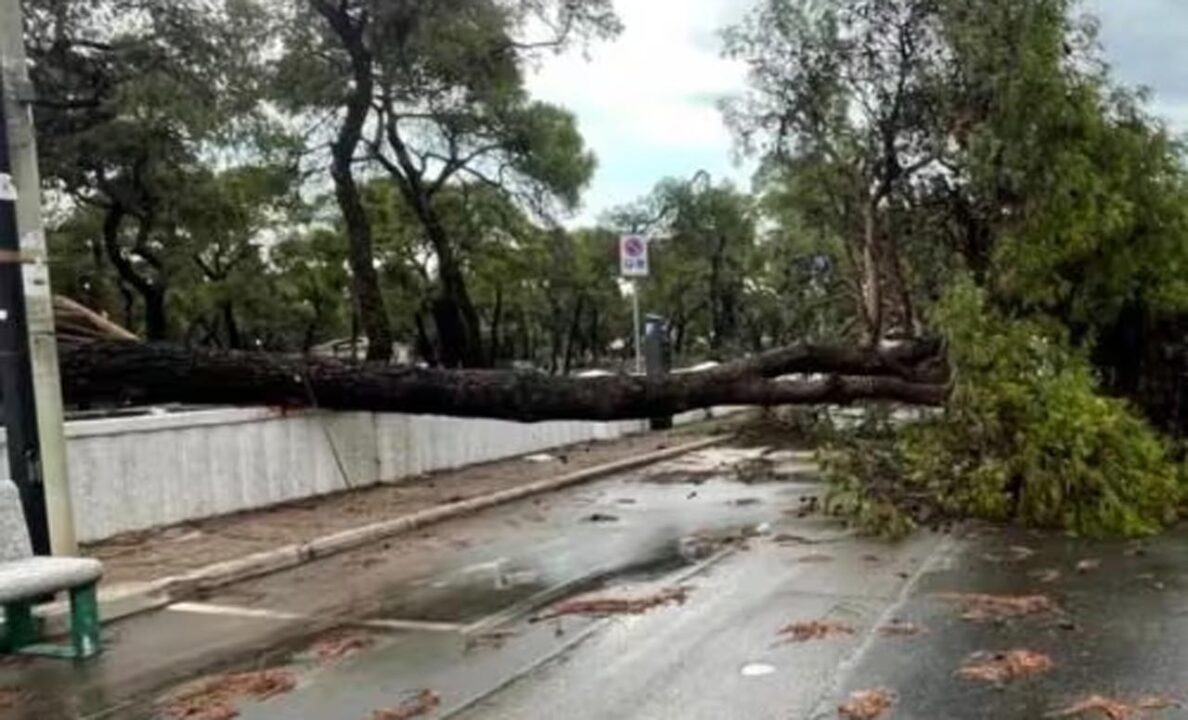 Bomba d’acqua nel Tarantino: alberi caduti e auto distrutte