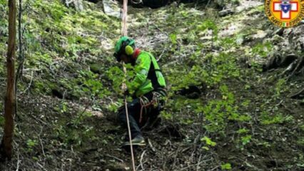 Valli del Pasubio: precipita per 100 metri mentre cerca funghi, muore donna di 66 anni