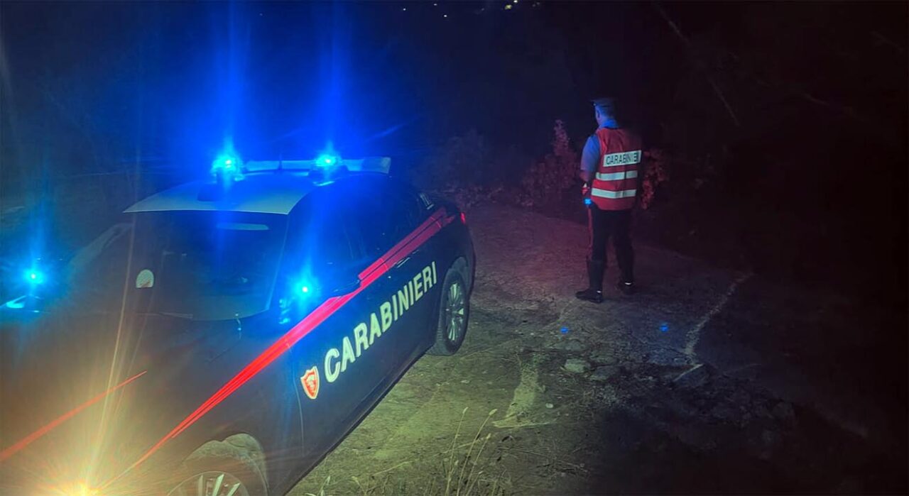 Montecalvo Irpino: uomo 45enne muore colpito da un albero