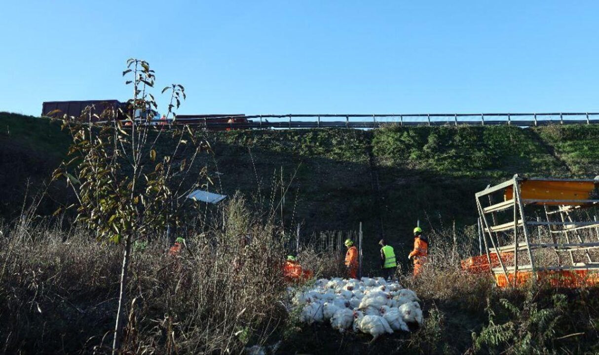 Autostrada A4: camion si ribalta, morto Angelo Soave