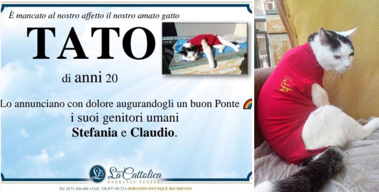 Muore il gatto, gli fanno il manifesto funebre