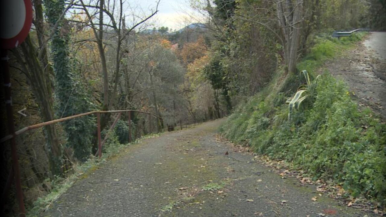 Enrico Albero, 64 anni, trovato cadavere nel bosco. Forse è omicidio