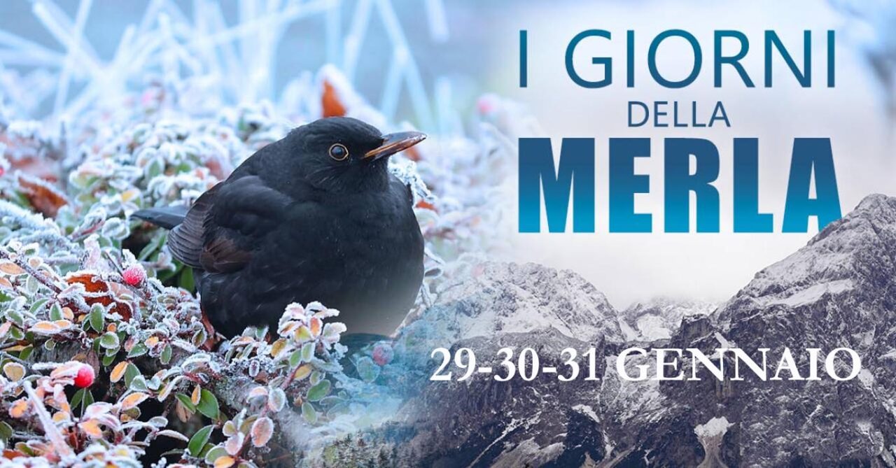 Giorni della Merla: tradizione, superstizione e leggenda