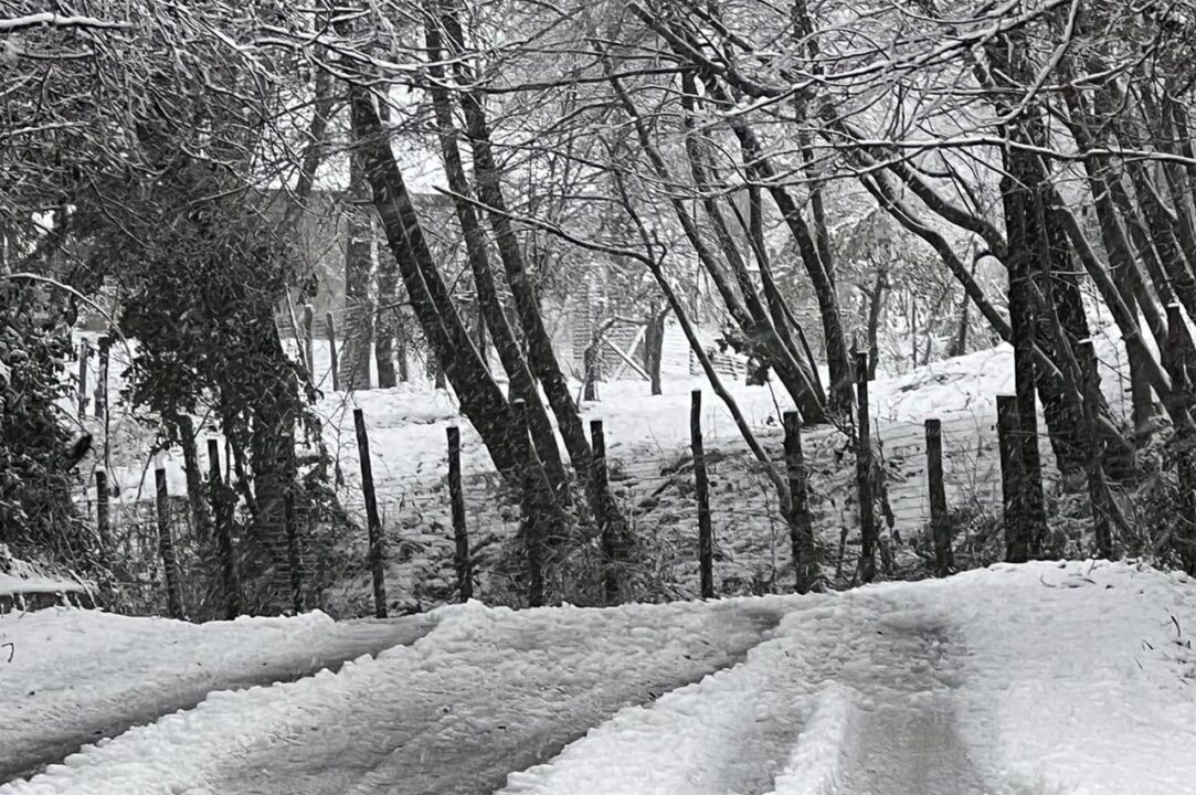 Maltempo: neve e vento forte domani martedì 14 gennaio