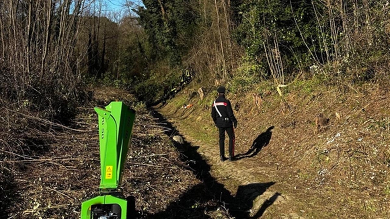 Pescia: operaio 50enne muore colpito da un albero