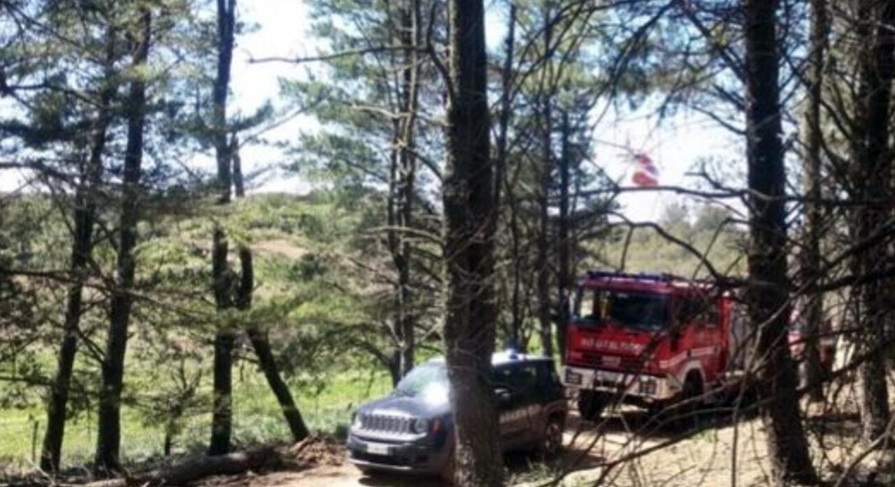 Pereto: cade albero, uomo muore schiacciato