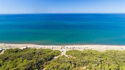 Montalto di Castro: fine atroce per un giovane di 17 anni