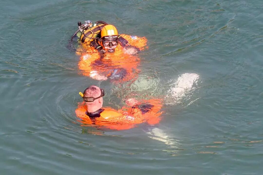 Fiume Adda: morto un ventenne che si è tuffato e non è più riemerso