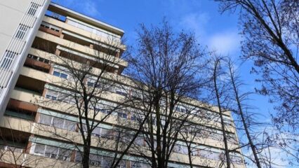 Uomo di 56 anni è punto da un inseto e muore per choc anafilattico