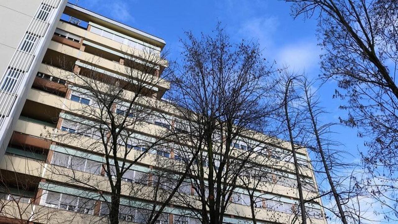 Uomo di 56 anni è punto da un insetto e muore per choc anafilattico