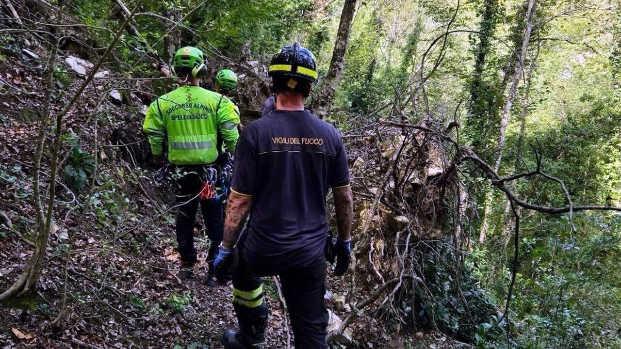 Assisi: 74enne muore schiacciato dalla pianta che stava tagliando