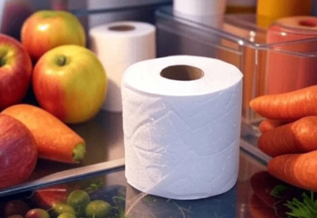 Carta igienica utilizzata in frigorifero