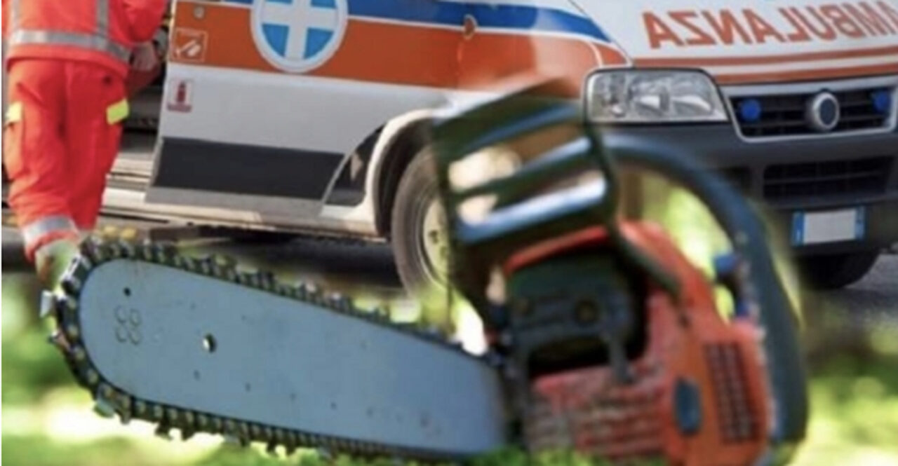 Portogruaro: braccio e arteria recisi dalla motosega