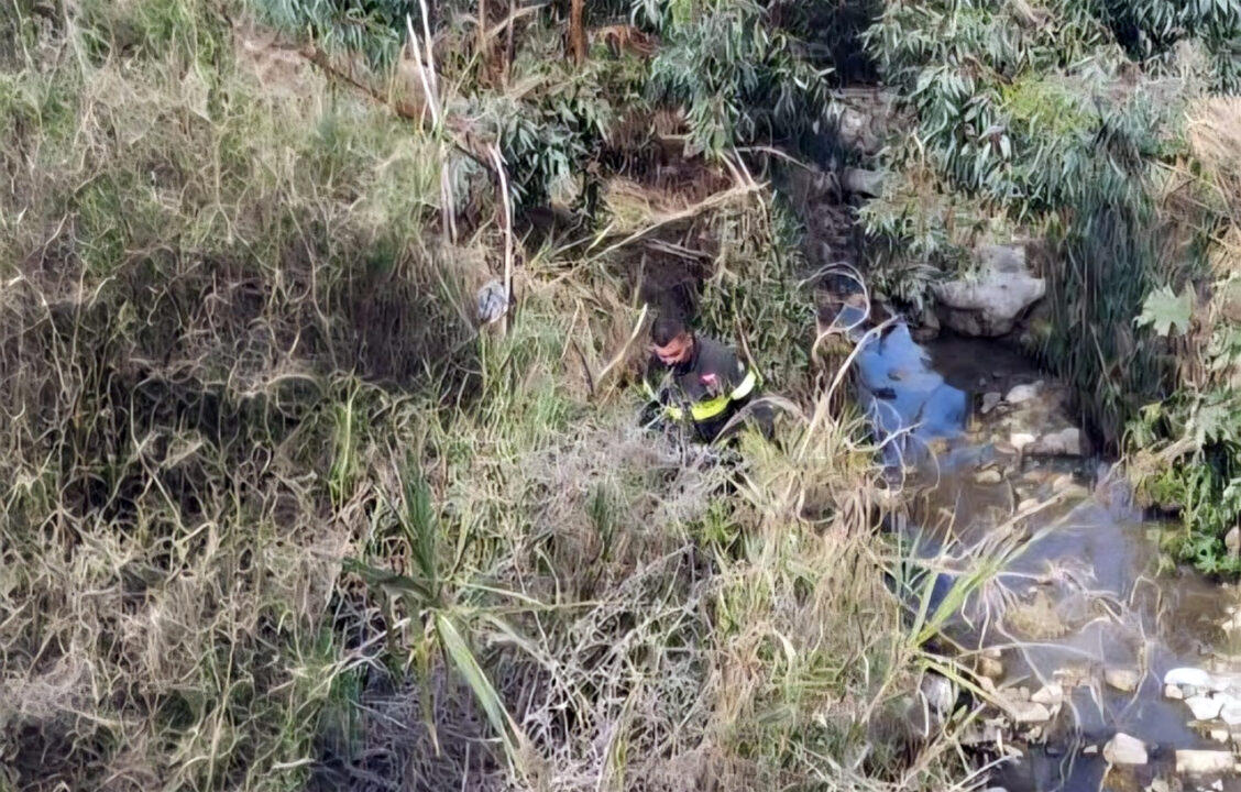 Tredicesimo giorno di ricerche di Marianna Bello