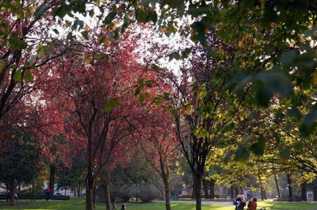 Arriva l’estate di San Martino: torna il sole, stop al maltempo