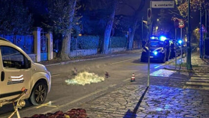 Angelina Vio muore investita da un furgone