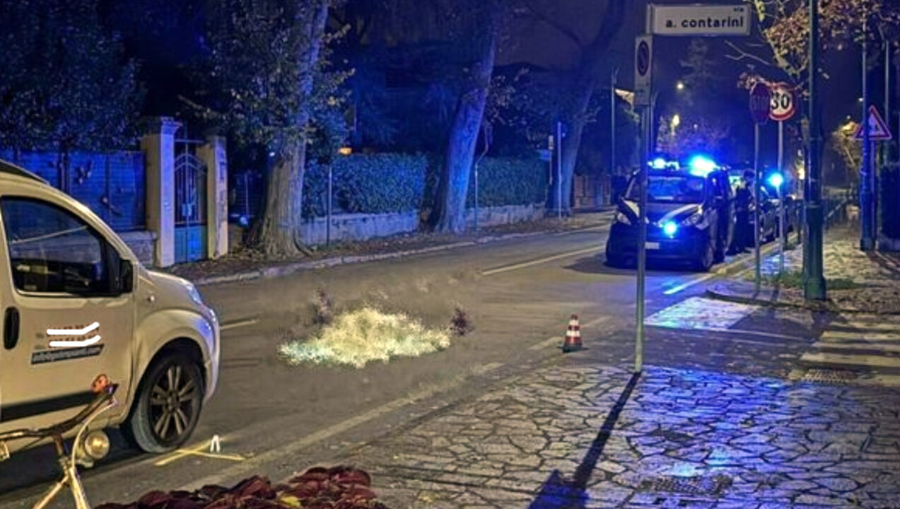 Angelina Vio muore investita da un furgone