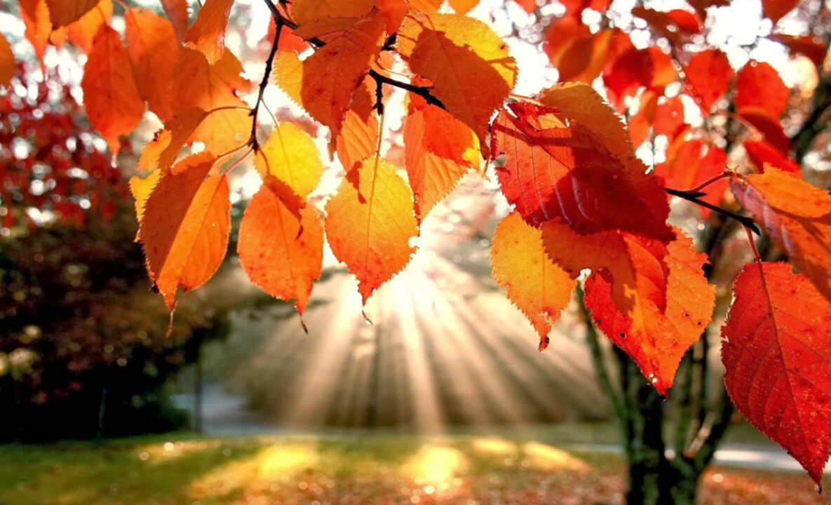 San Martino e la sua estate. Risale l’alta pressione