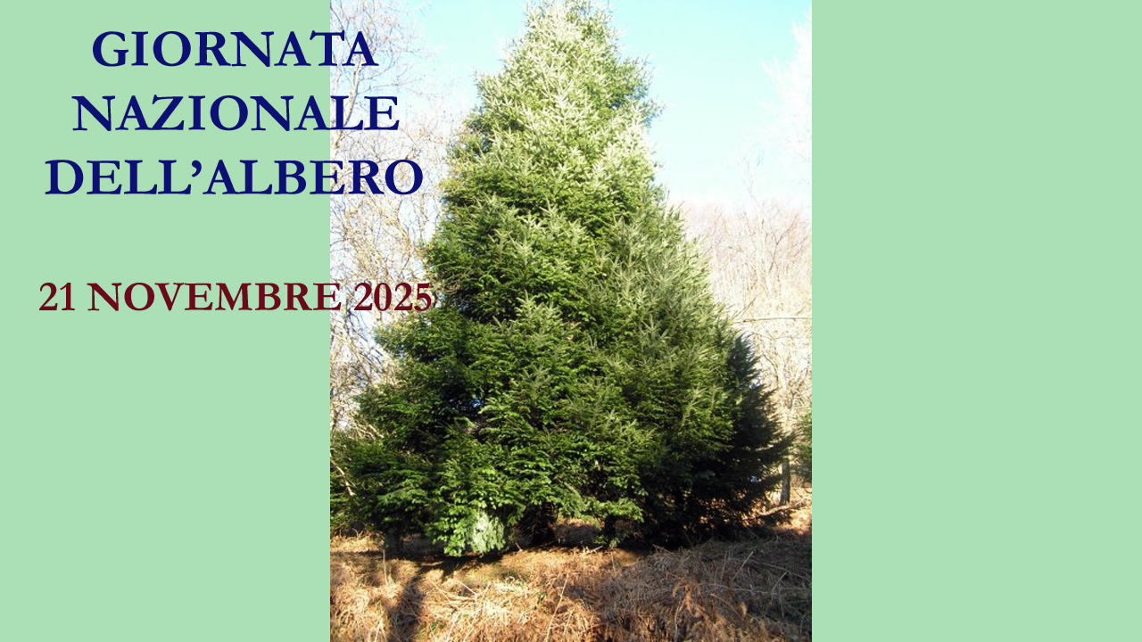 Giornata nazionale dell'albero: celebrare la natura e il nostro futuro