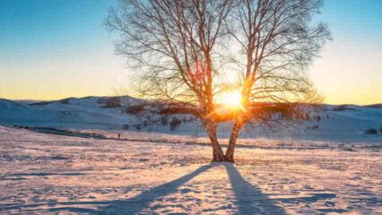 Oggi inizia l'inverno: è il solstizio