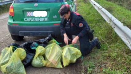 Orrore sull’A14 a Scossicci: trovate altre 16 carcasse di animali, indagini a tutto campo