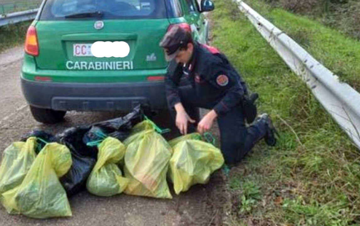 Orrore sull’A14 a Scossicci: trovate altre 16 carcasse di animali, indagini a tutto campo