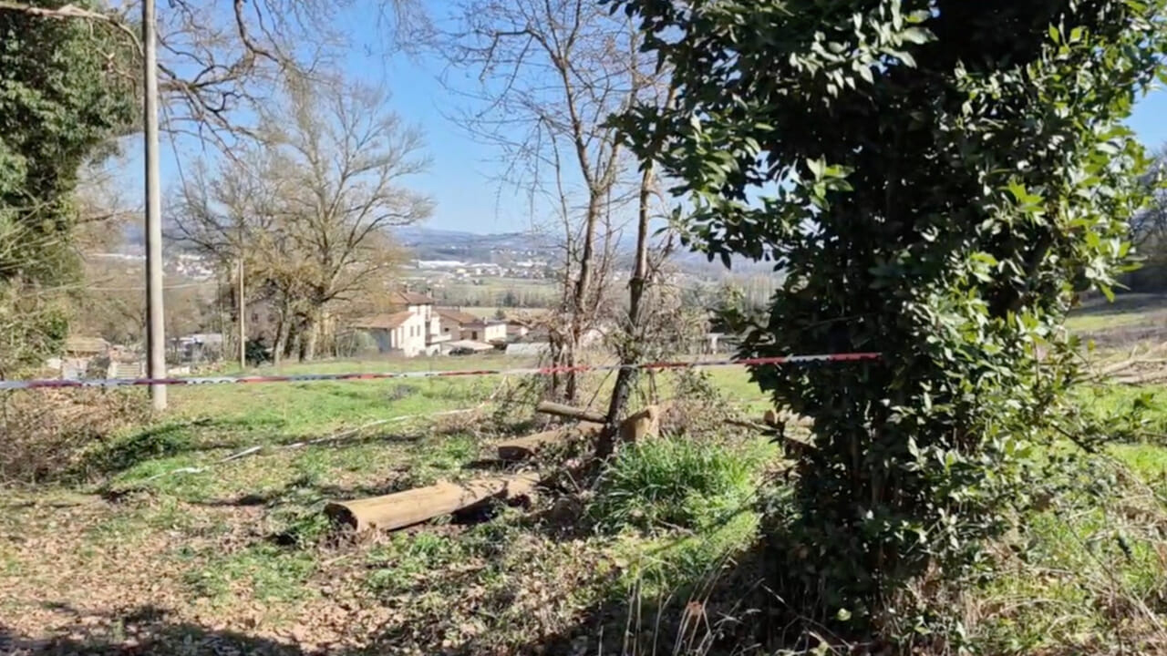 Città di Castello, 70enne muore mentre taglia un albero nella sua proprietà