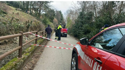 Tragedia a Montebelluna: muore travolto da un albero mentre lavora nel bosco