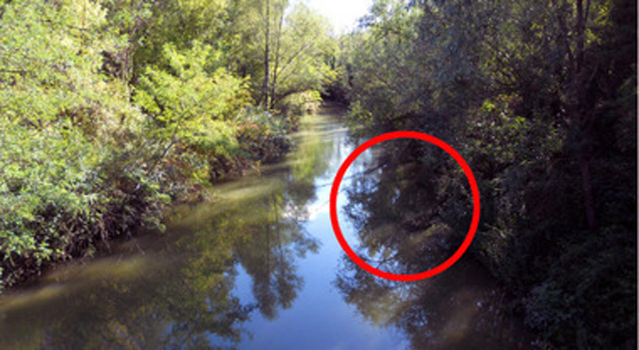 Trovato un osso umano sull’Idice: scout scopre una tibia durante la pulizia del fiume