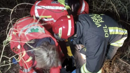 Si ribalta con l’auto e fugge nel bosco: salvato dai soccorritori tra i rovi