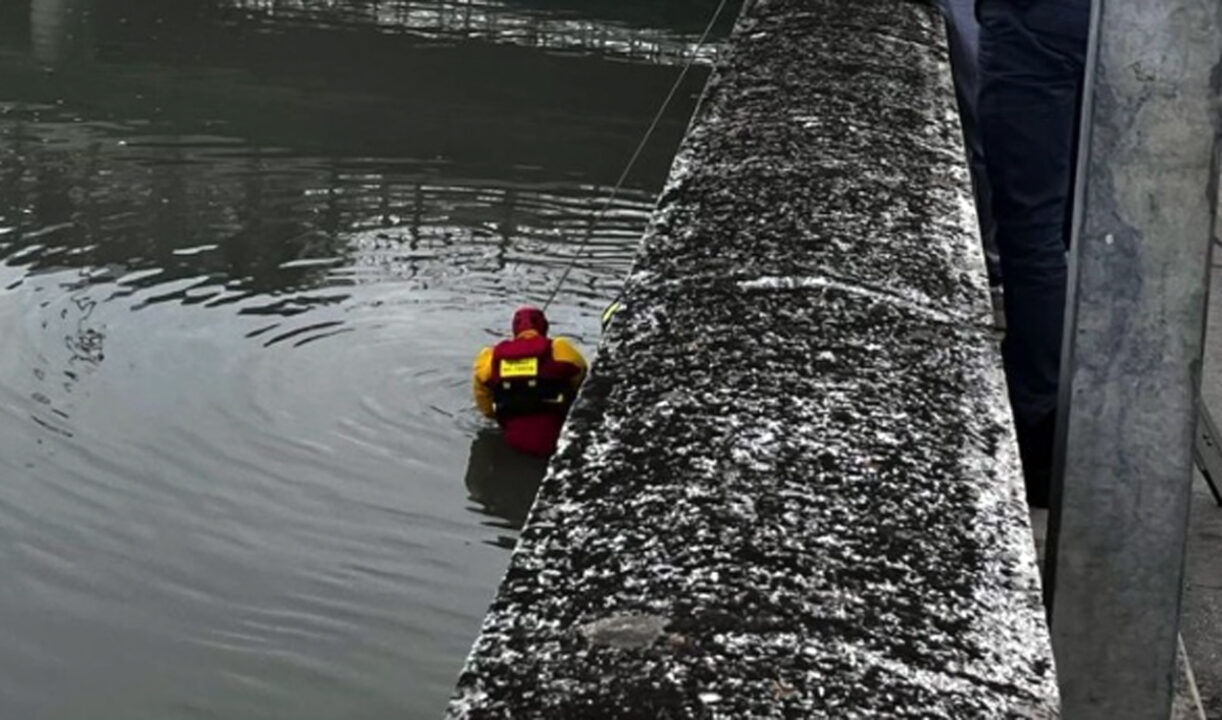 Senigallia, trovato un corpo nel fiume Misa: sono in corso le verifiche sull’identità