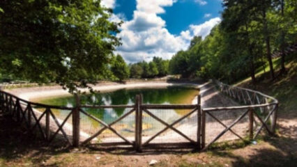Uomo trovato morto in un laghetto nel Parco del Pollino: aperta un’indagine