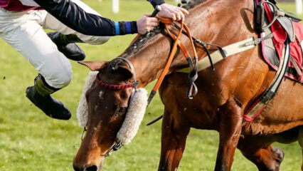 Tragedia in maneggio nel Cremonese: cavallerizza di 37 anni muore dopo una caduta da cavallo