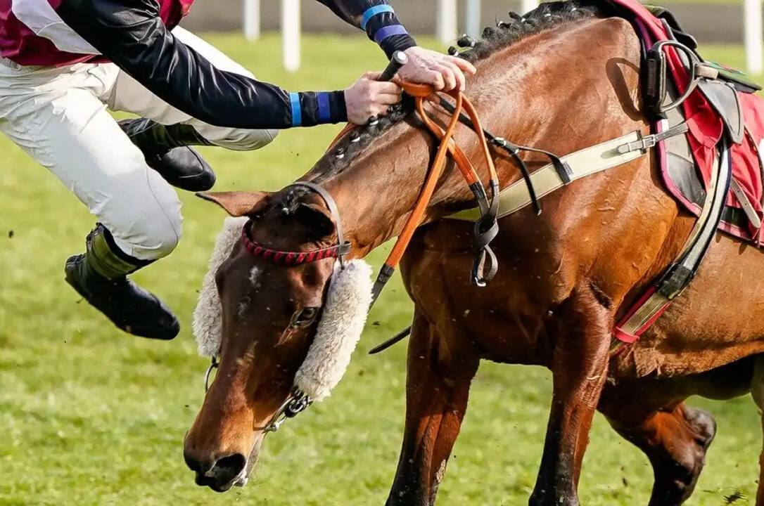 Tragedia in maneggio nel Cremonese: cavallerizza di 37 anni muore dopo una caduta da cavallo